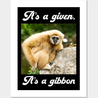 It’s a gibbon Posters and Art